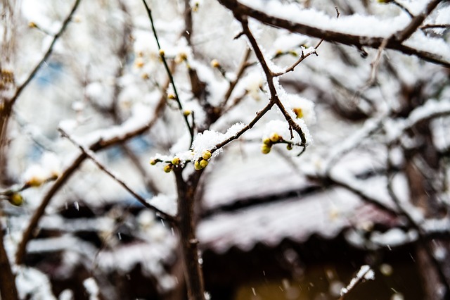 与消