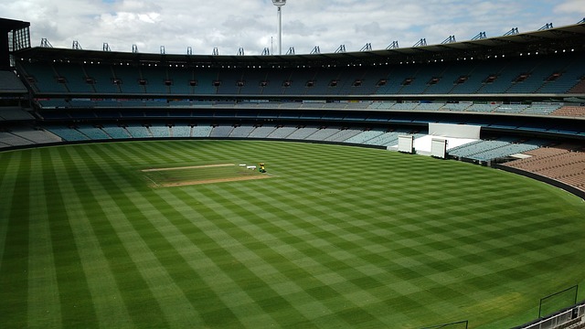 牢牢掌控在 牢牢掌控在