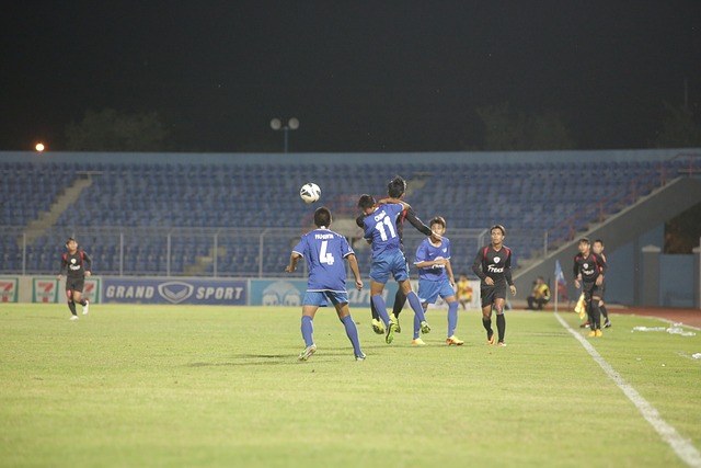 支持真实创 支持真实创