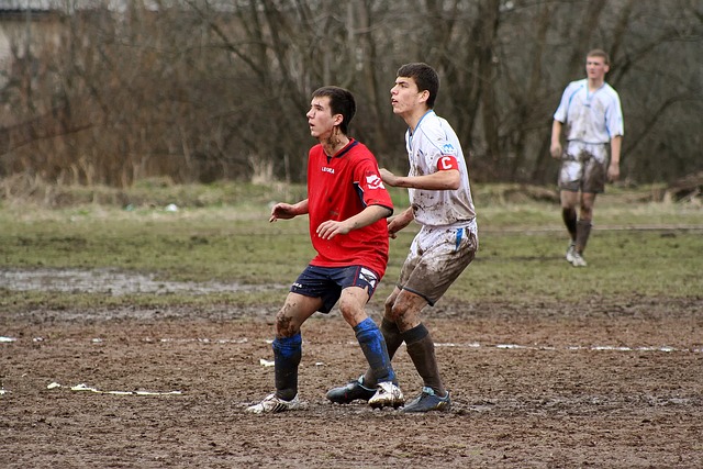 确保信息的 确保信息的