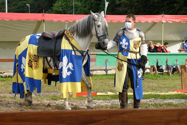 不仅体能提 不仅体能提