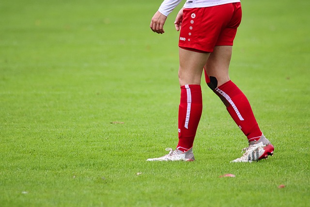 赛显然已经 赛显然已经